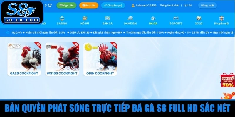 Bản quyền phát sóng trực tiếp đá gà S8 Full HD sắc nét